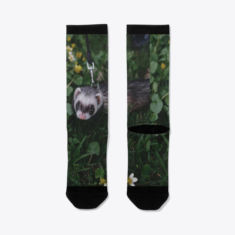 Crazy Ferret Army