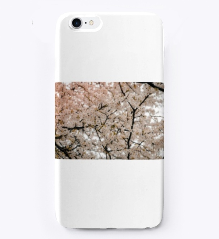 cherry blossoms