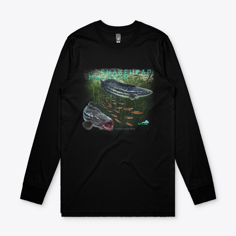 Malabar Snakehead