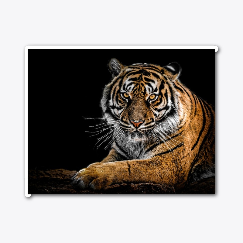Tigers