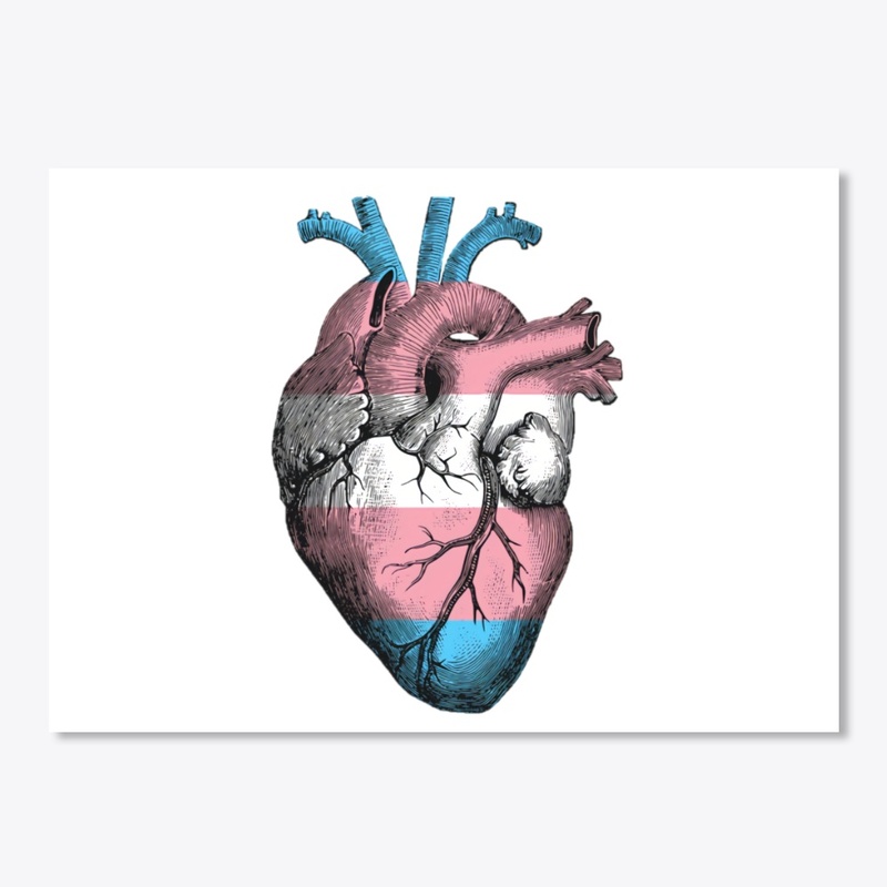 Transgender Pride Anatomical Heart
