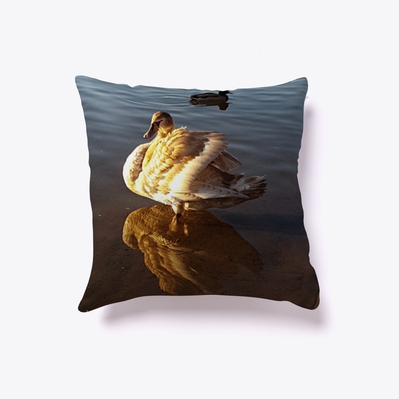 Stockholm Swan 3