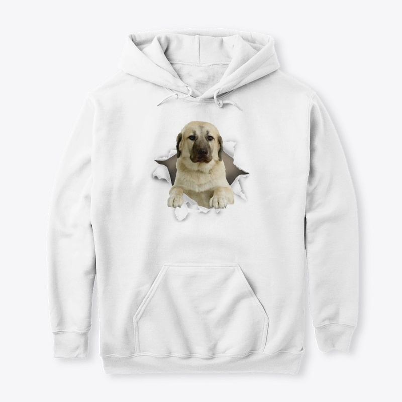 Kangal Dog Torn Paper