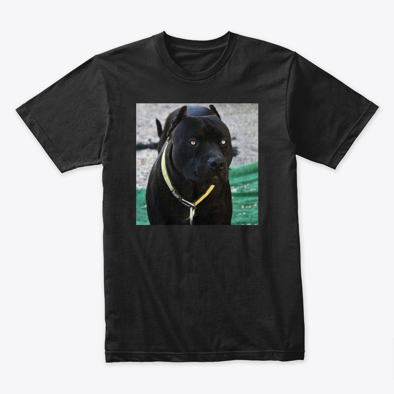 Pitbulls Black