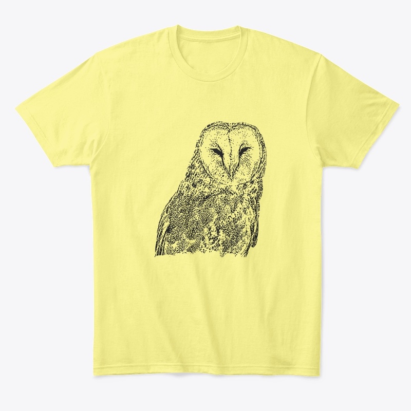 Birdwatching For Barn Owls