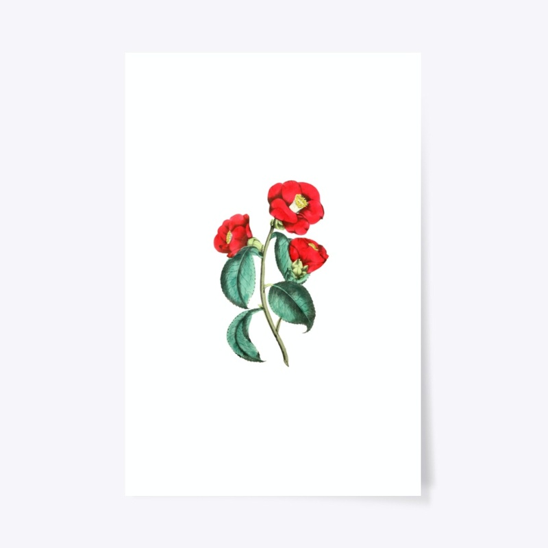 Vintage red camellia flower