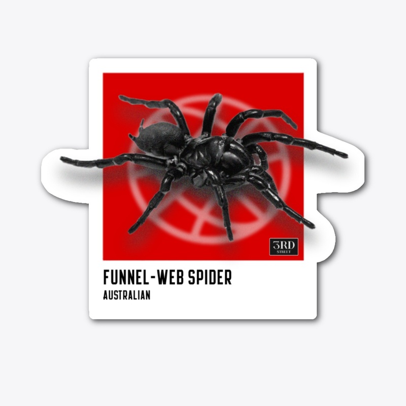 Funnel-Web Spider