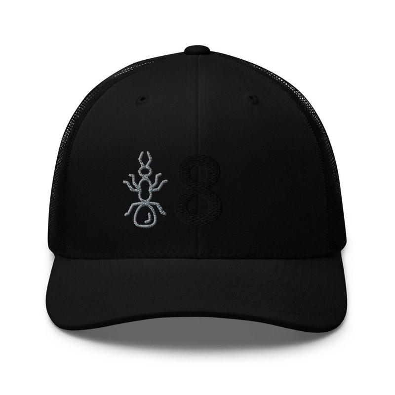 Eight is Ant