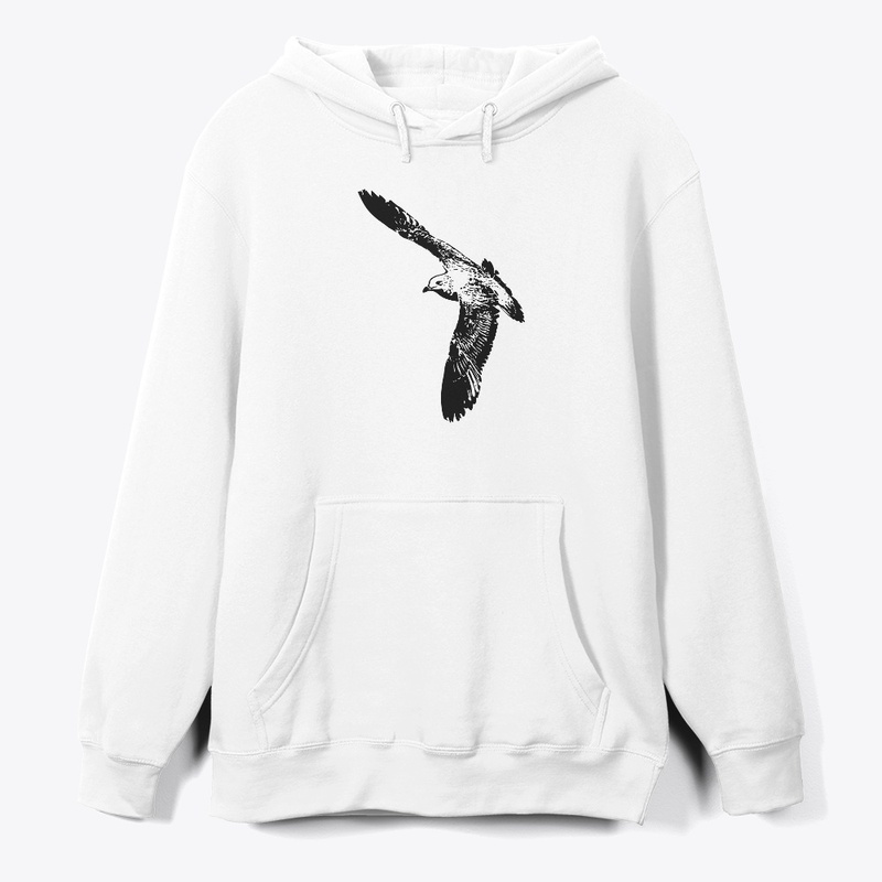 Birdwatching Ring-billed Gull