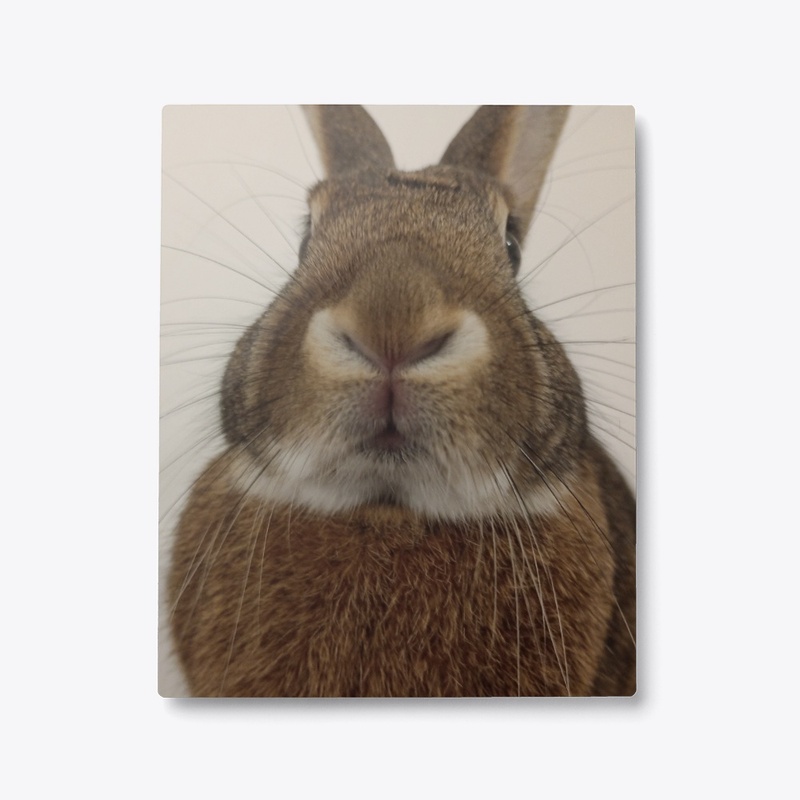 Pom Pom's adorable lil nose