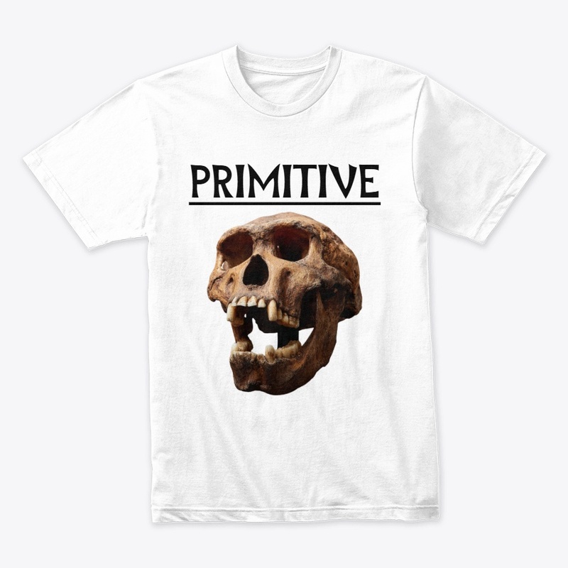 PRIMITIVE TSHIRT