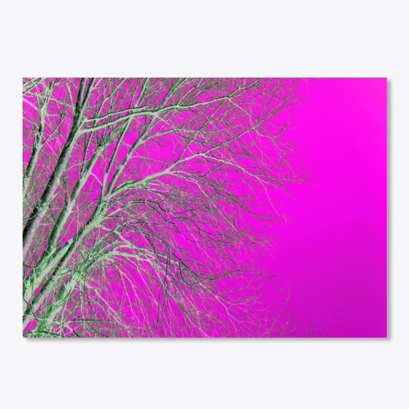 purple pink tree