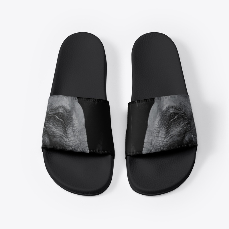 Elephants