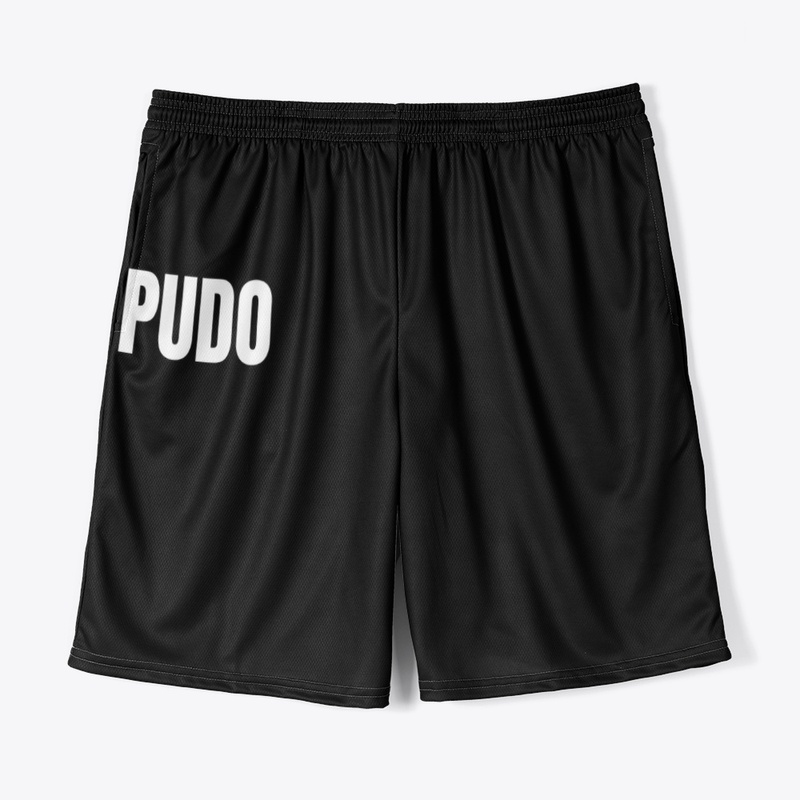 Pudo