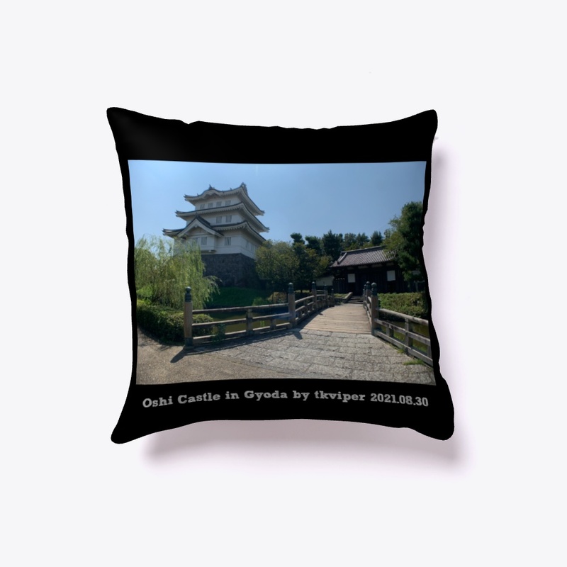 Oshi Castle in Gyoda