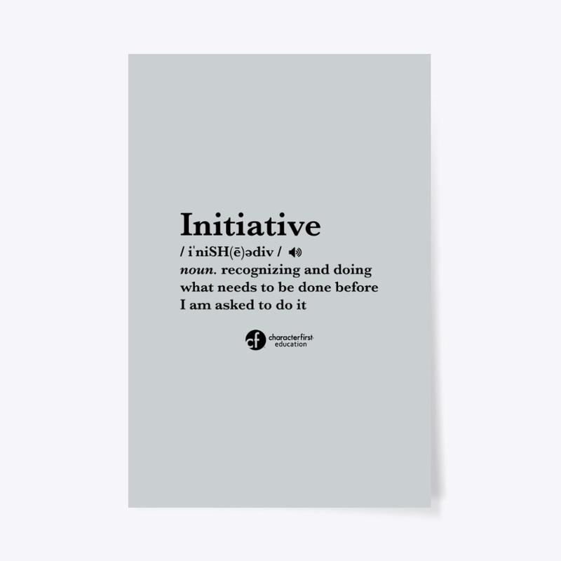 Initiative Definition