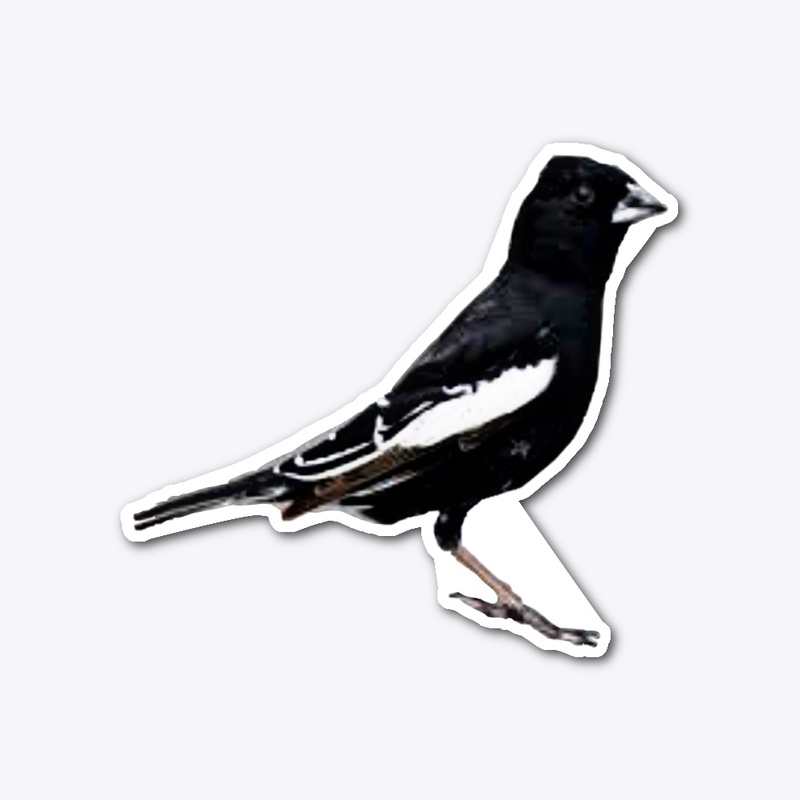 Lark Bunting Bird Sticker