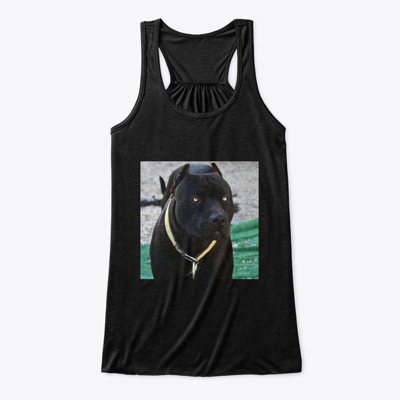 Pitbulls Black