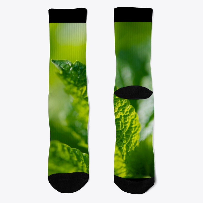 Green leaves in nature