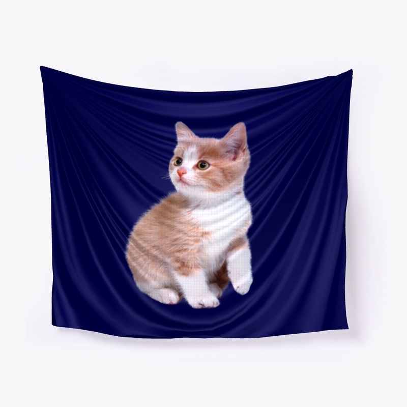 FUNNY SHOCKED CAT