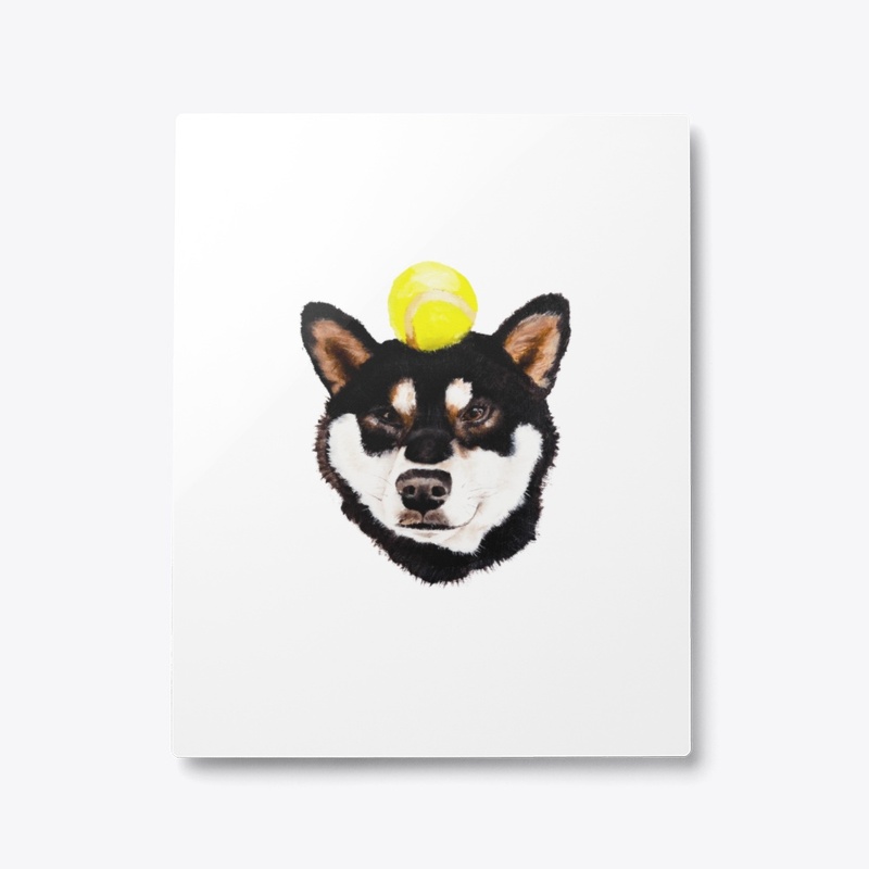 Shiba Max