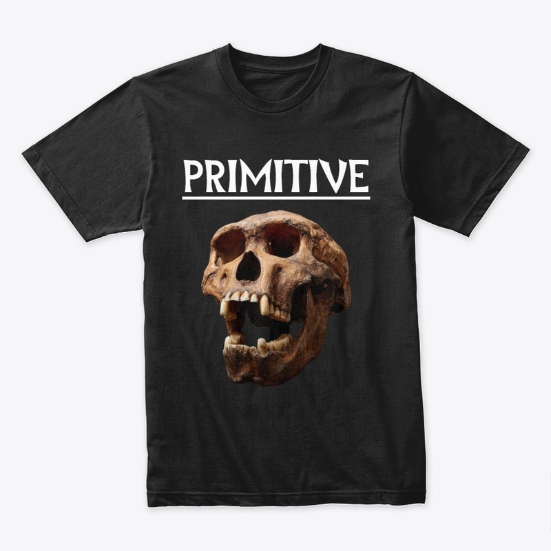 PRIMITIVE TSHIRT