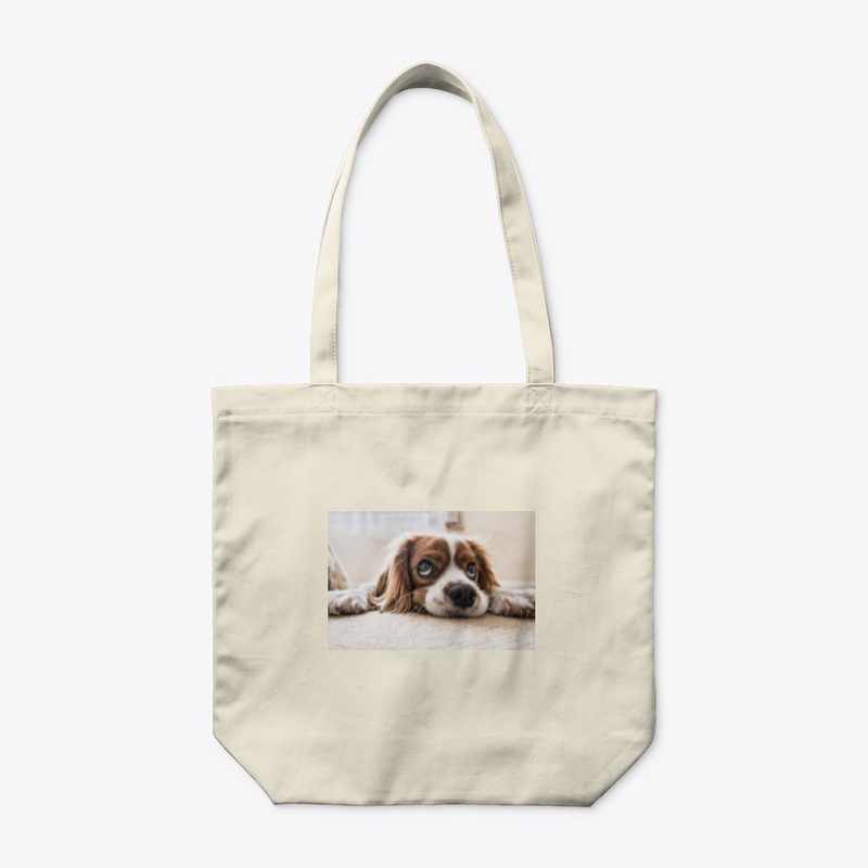 sad dog
