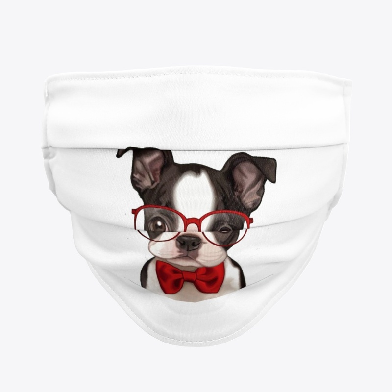 Cute French Bulldog Puppy