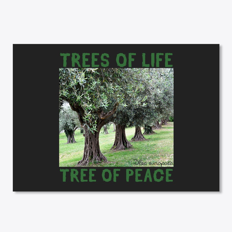 TREES of LIFE : OLIVE/PEACE