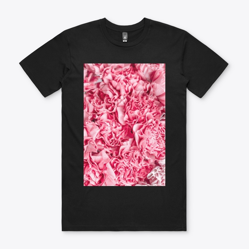 Roses-pink