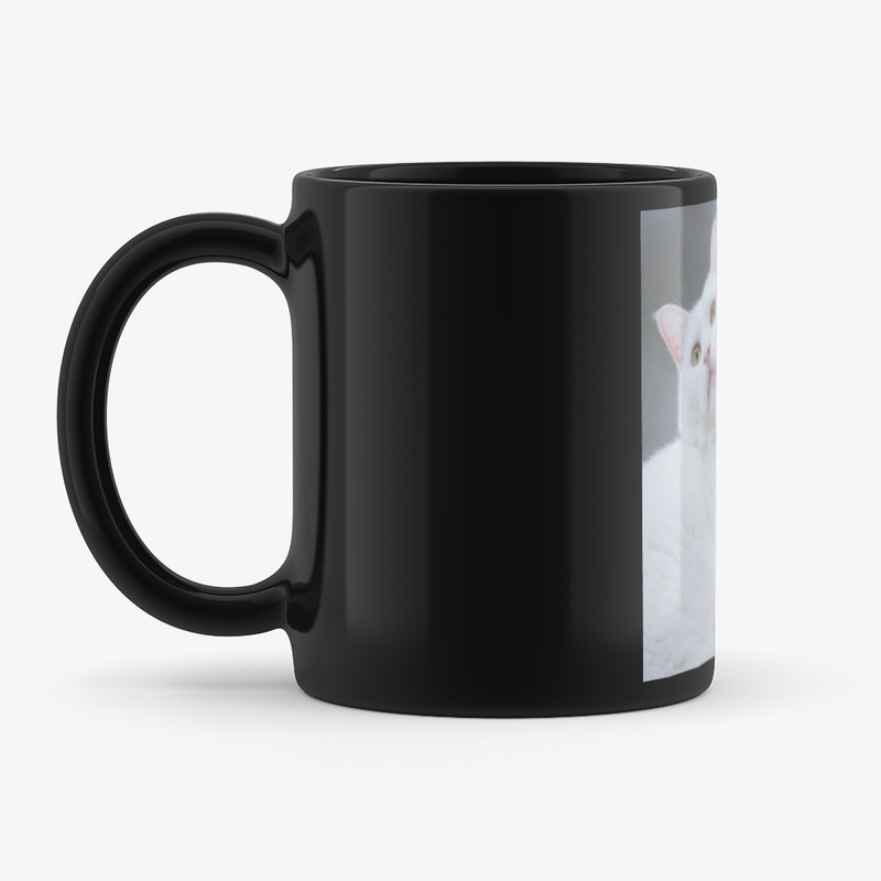 Black cat mug