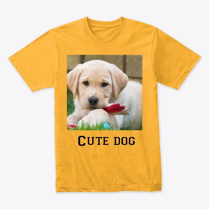 Cute dog