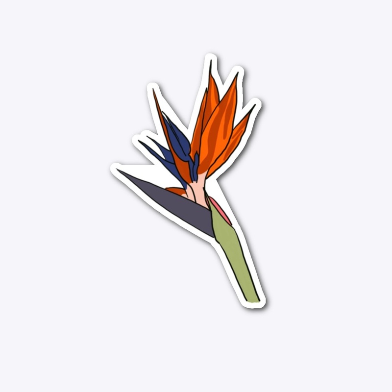 Birds Of Paradise