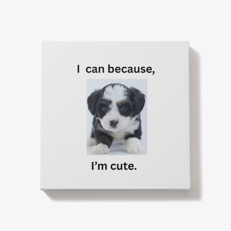 For the dog lovers.