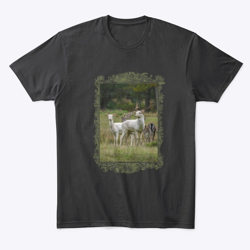 Pure Wildlife Lovers: White Fallow Deer