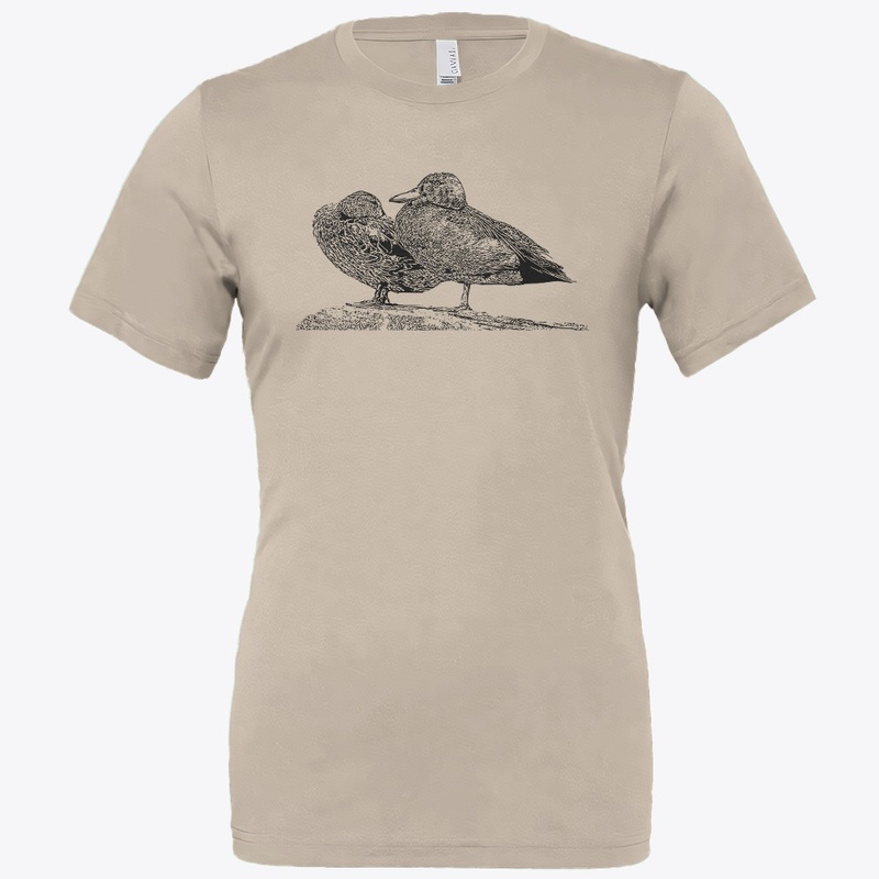 Cinnamon Teal