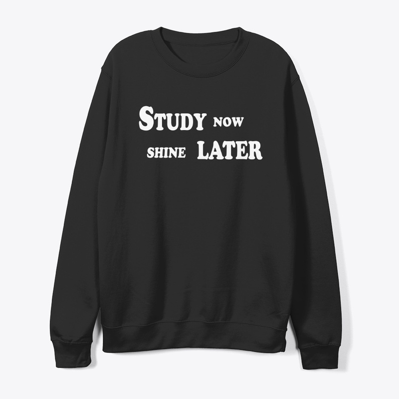Study Now, Shine Later