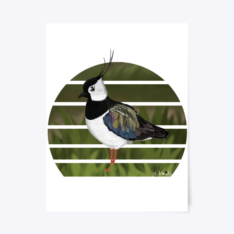 jz.birds Northern Lapwing Bird Design