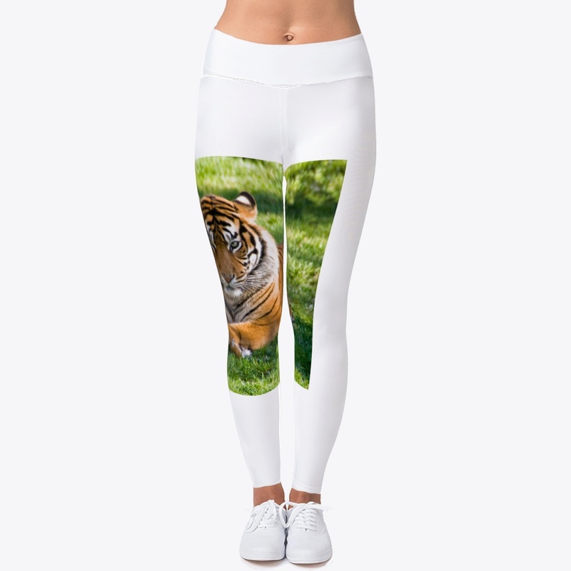 Tiger lying on green grass