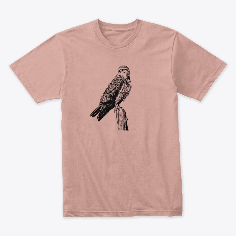 Birdwatching- Swainson's Hawk
