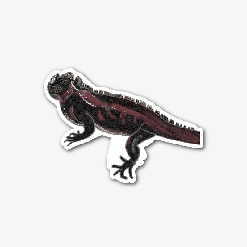Marine iguana