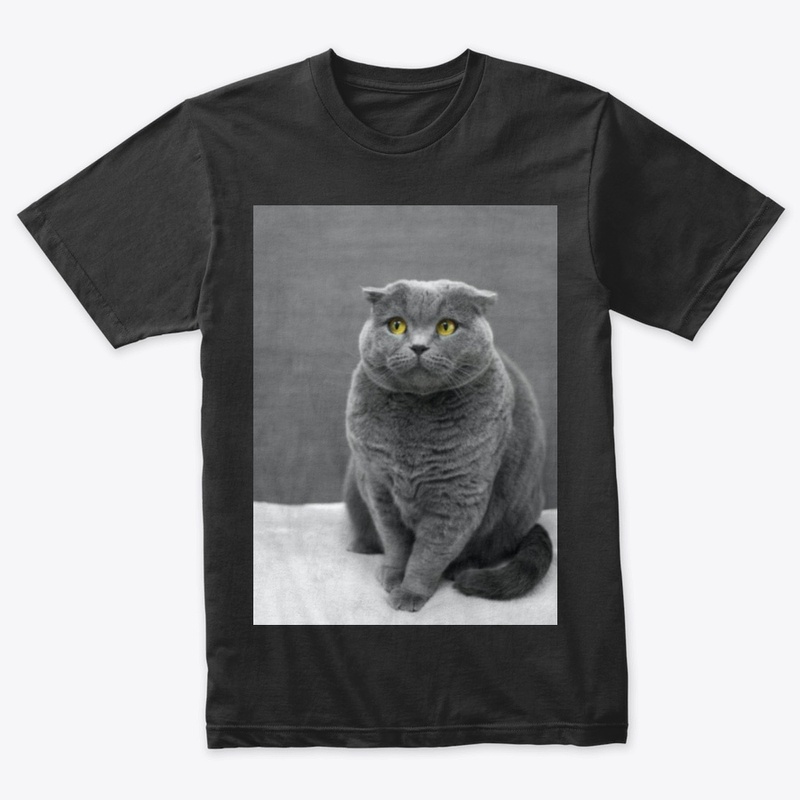 I LOVE MY CAT