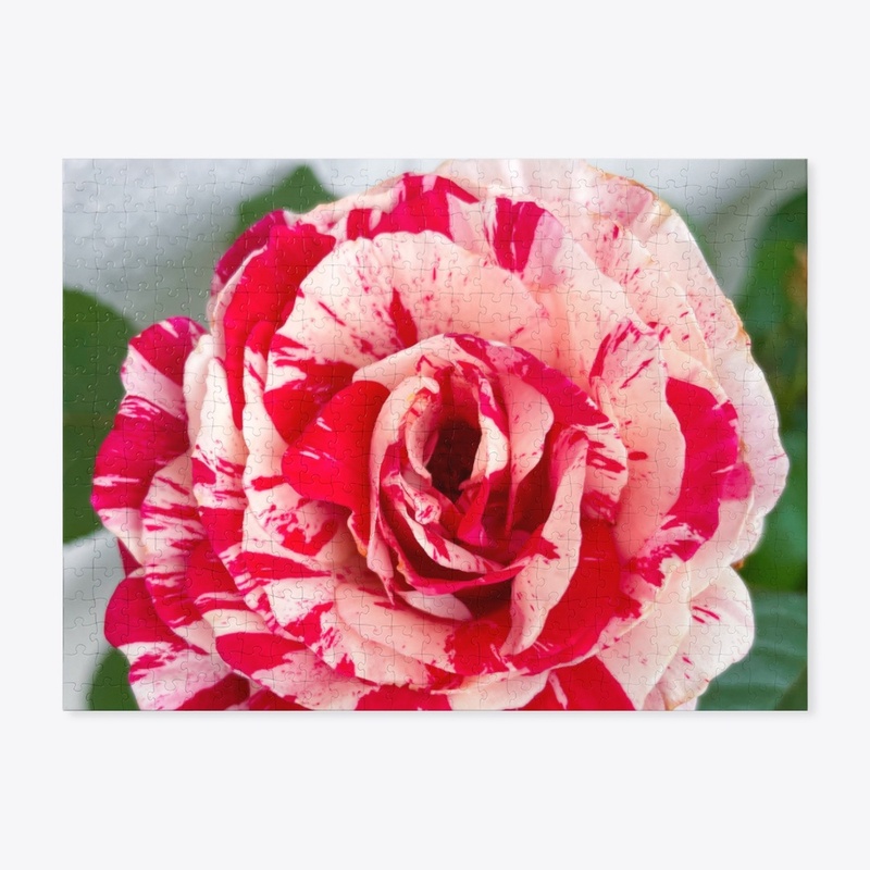 Scentimental Rose