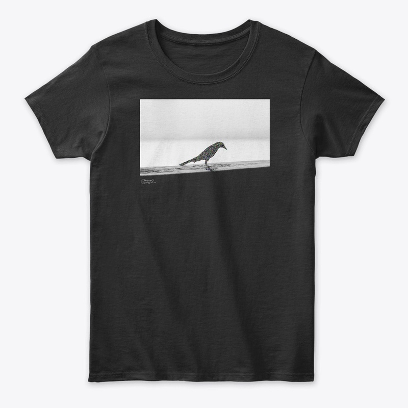 404: Bird Not Found