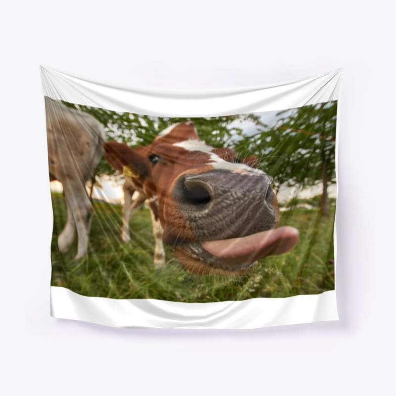 cow design and art