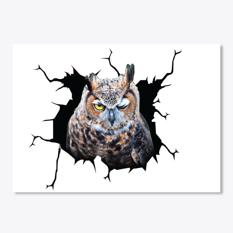 Owl