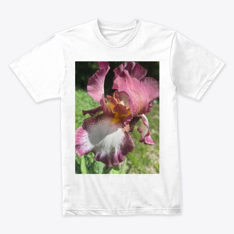 Burgundy Iris
