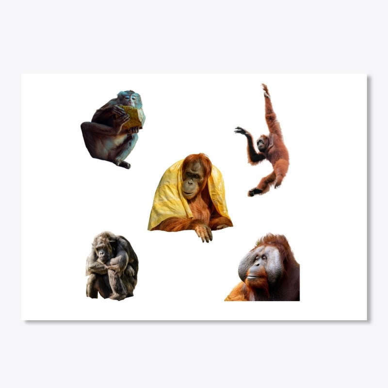 Orangutan set sticker