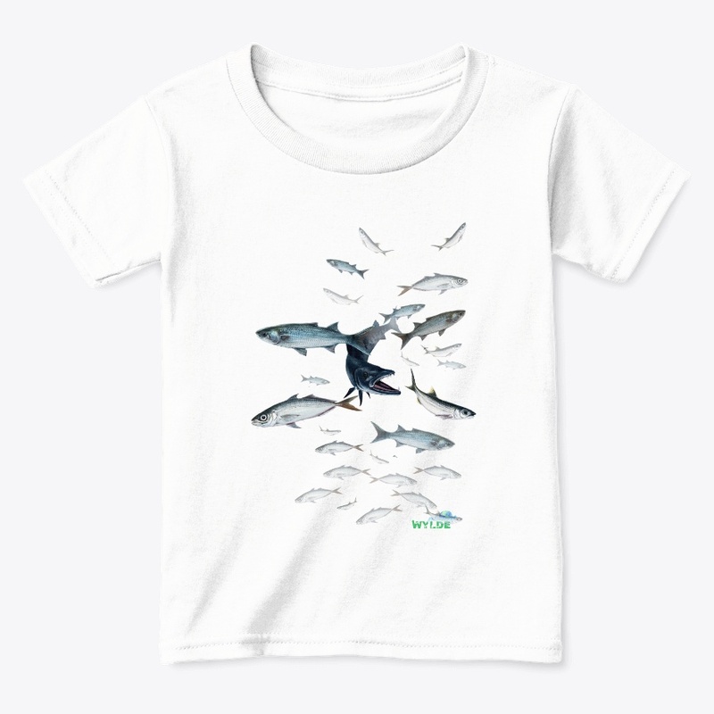 Barracuda Attacking Baitfish