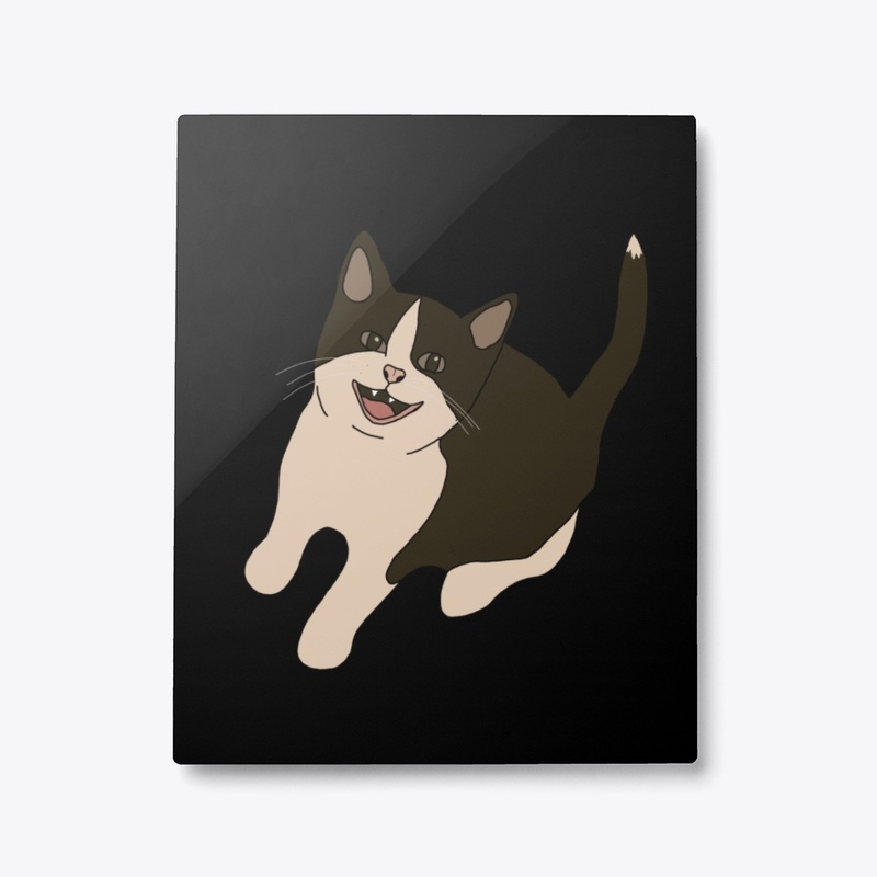 Spooky The Cat Home I